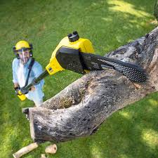 Bolingbrook, IL Tree Removal and Landscaping Services Company